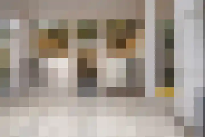 Pieter Vreedeplein 72 Tilburg thumbnail 20