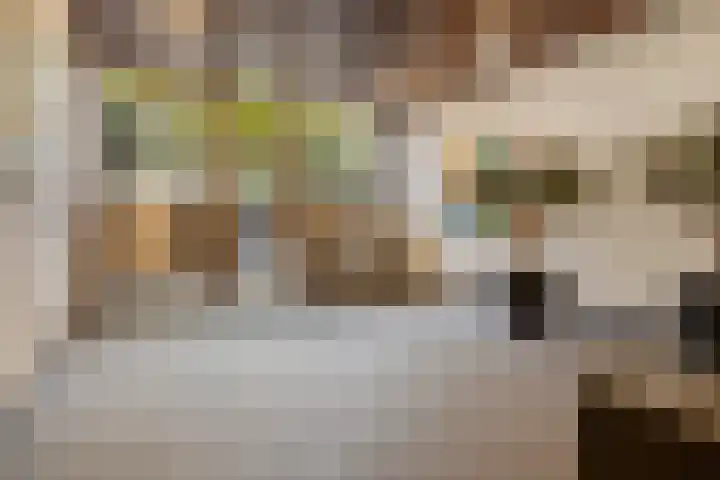 Pieter Vreedeplein 72 Tilburg thumbnail 22