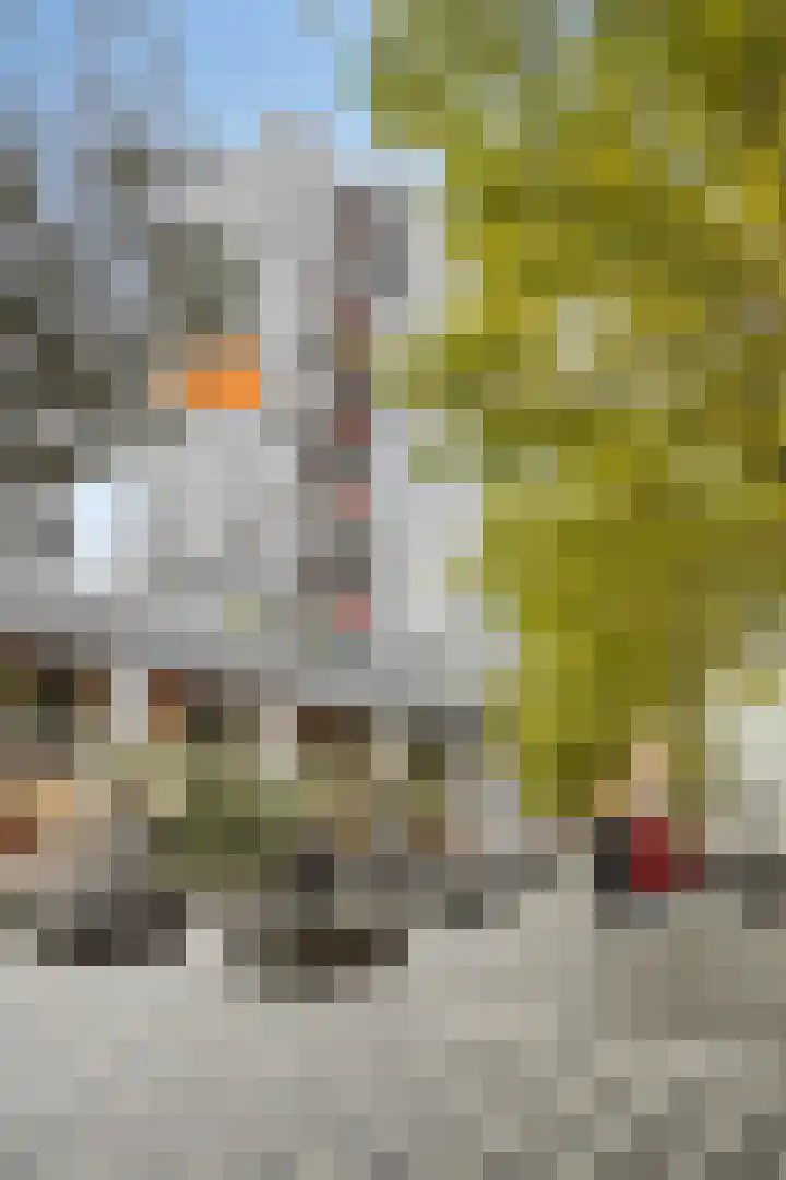 Pieter Vreedeplein 72 Tilburg thumbnail 30