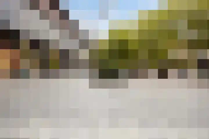 Pieter Vreedeplein 72 Tilburg thumbnail 31