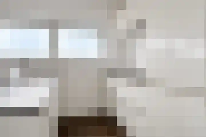 Pieter Vreedeplein 72 Tilburg thumbnail 5