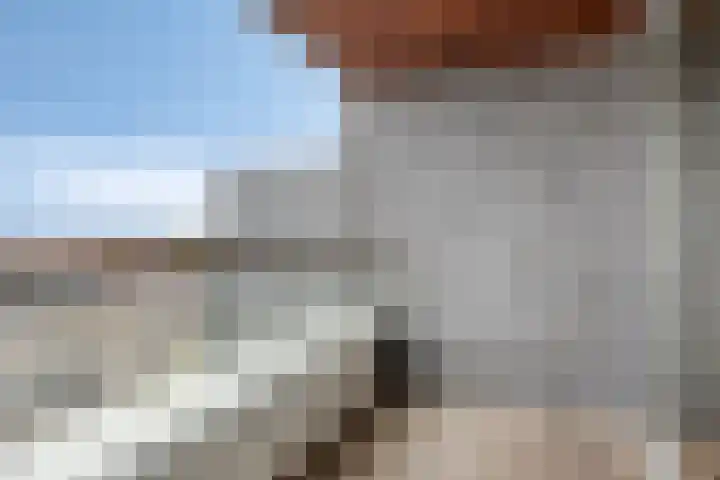 Pieter Vreedeplein 72 Tilburg thumbnail 9