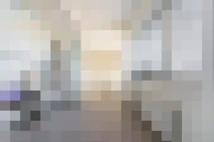 Pieter Vreedeplein 79 Tilburg thumbnail 10