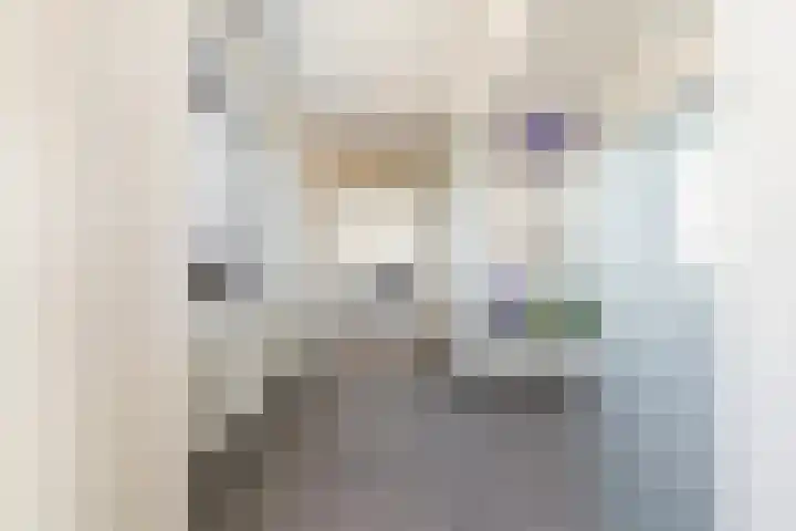 Pieter Vreedeplein 79 Tilburg thumbnail 13