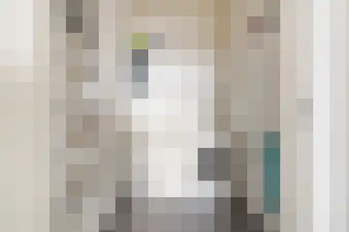 Pieter Vreedeplein 79 Tilburg thumbnail 32