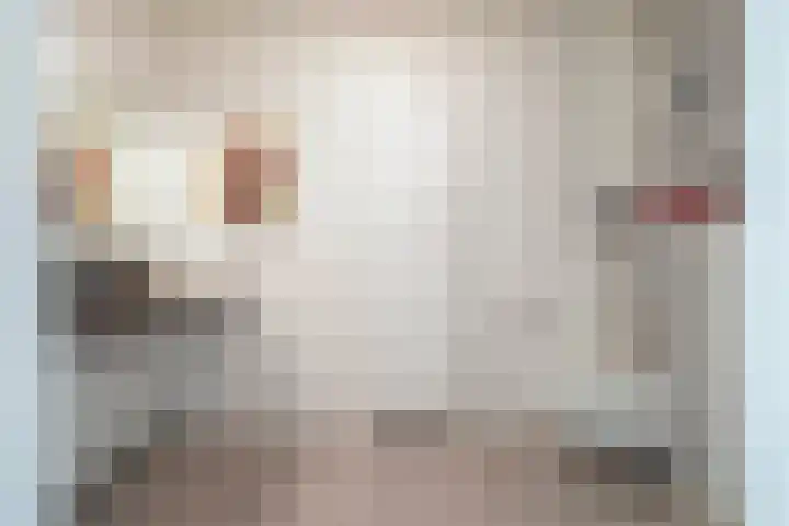 Pieter Vreedeplein 79 Tilburg thumbnail 33