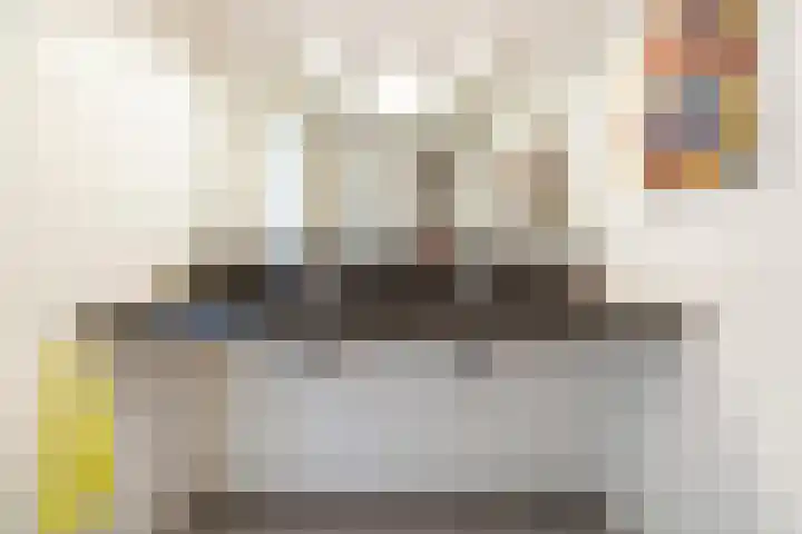 Pieter Vreedeplein 79 Tilburg thumbnail 36