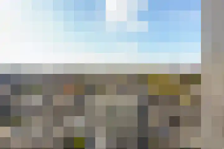 Pieter Vreedeplein 79 Tilburg thumbnail 44