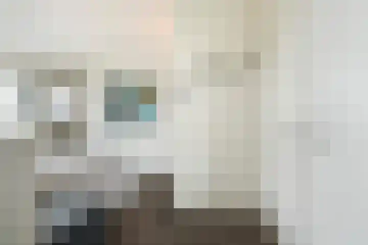 Pieter Vreedeplein 79 Tilburg thumbnail 47