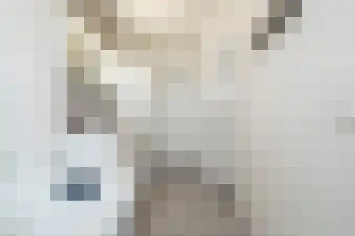Pieter Vreedeplein 79 Tilburg thumbnail 51