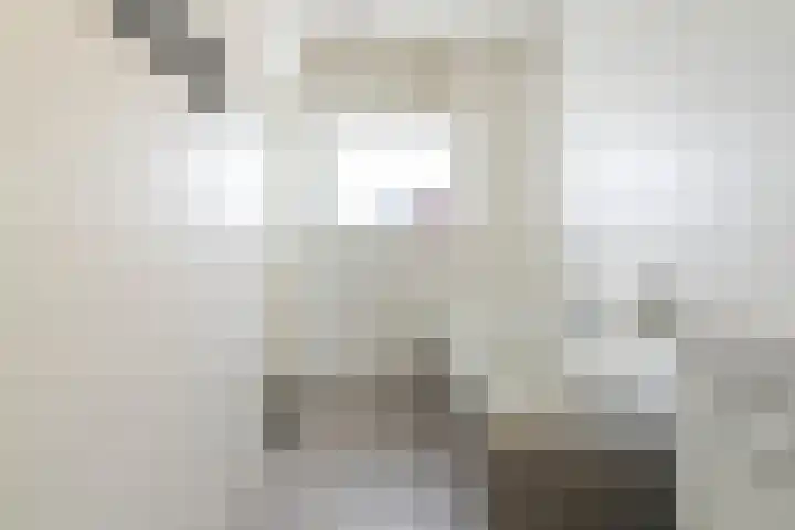 Pieter Vreedeplein 79 Tilburg thumbnail 54
