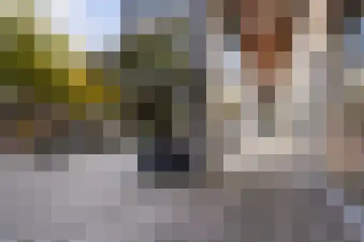 Pieter Vreedeplein 79 Tilburg thumbnail 6