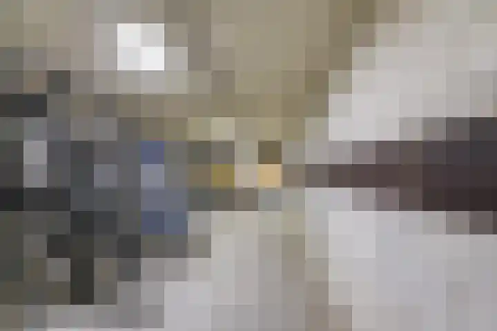 Pieter Vreedeplein 79 Tilburg thumbnail 62