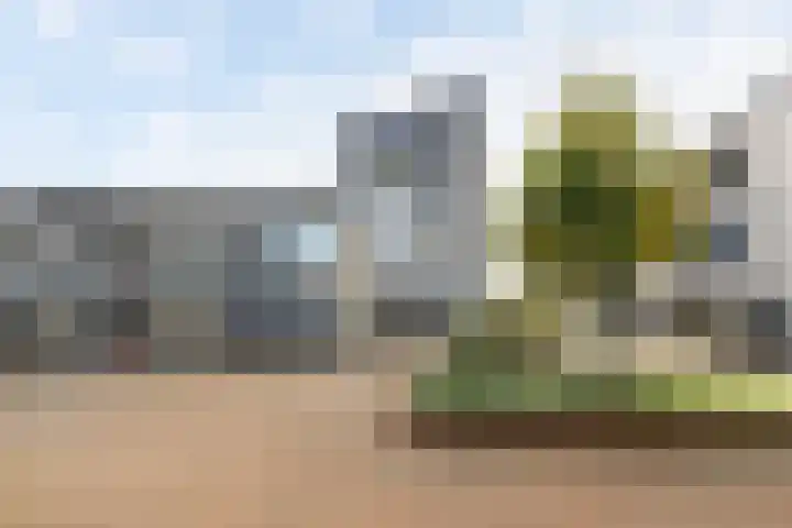 Pieter Vreedeplein 79 Tilburg thumbnail 64