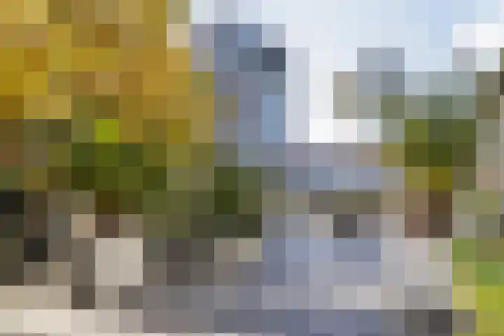 Pieter Vreedeplein 79 Tilburg thumbnail 65