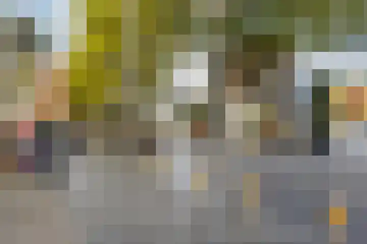 Pieter Vreedeplein 79 Tilburg thumbnail 66