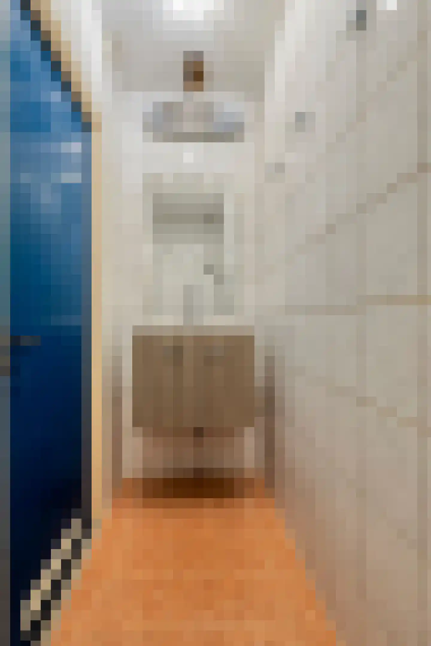 Pieter Vreedestraat 13 Oosterhout thumbnail 12