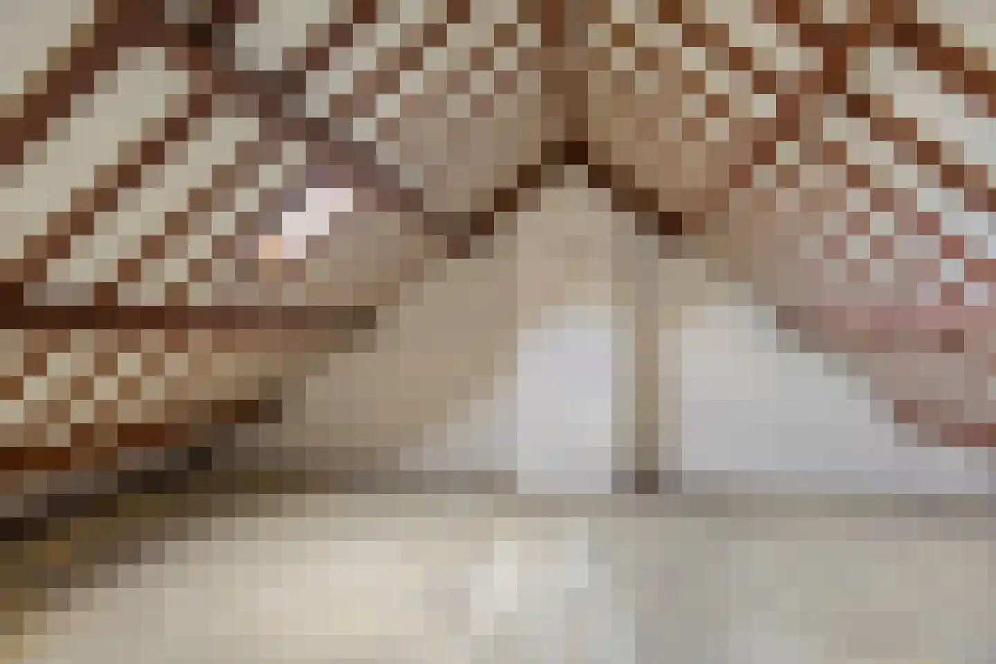 Pieter Vreedestraat 13 Oosterhout thumbnail 27