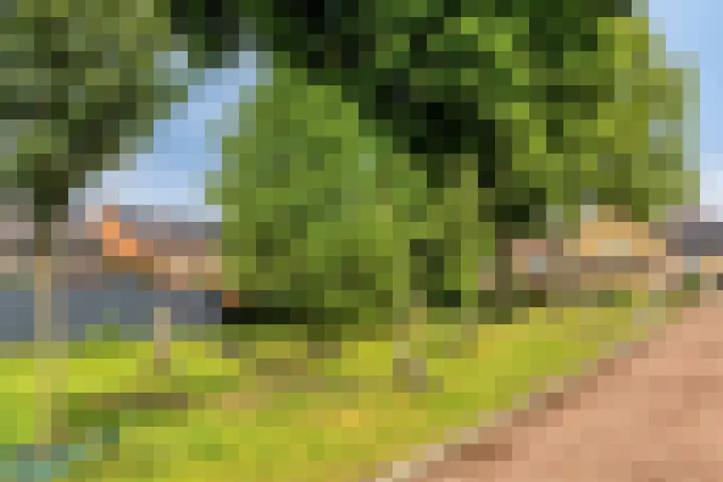 Pieter Vreedestraat 13 Oosterhout thumbnail 32