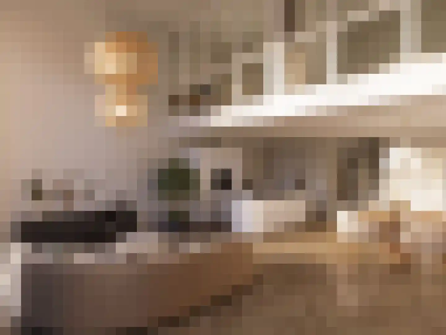 Pieter Vreedestraat 3 Tilburg thumbnail 5