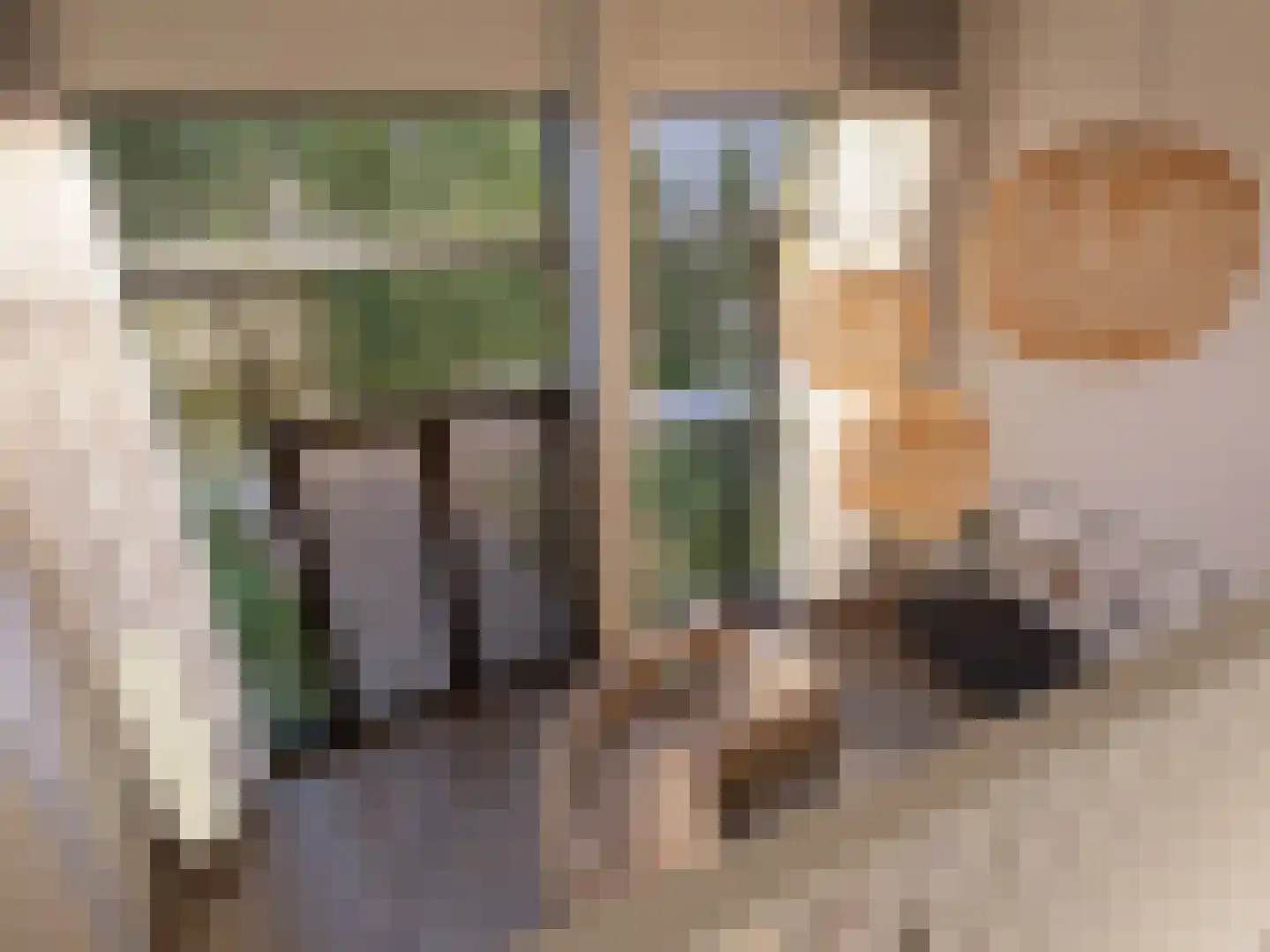 Pieter Vreedestraat 3 Tilburg thumbnail 7