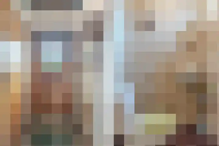 Pieter Vreedestraat 4 Oosterhout thumbnail 13
