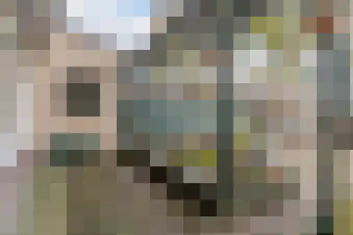Pieter Vreedestraat 4 Oosterhout thumbnail 25