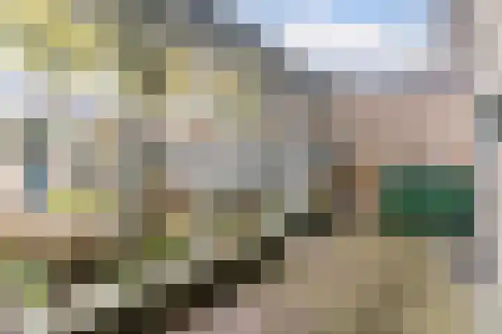 Pieter Vreedestraat 4 Oosterhout thumbnail 26