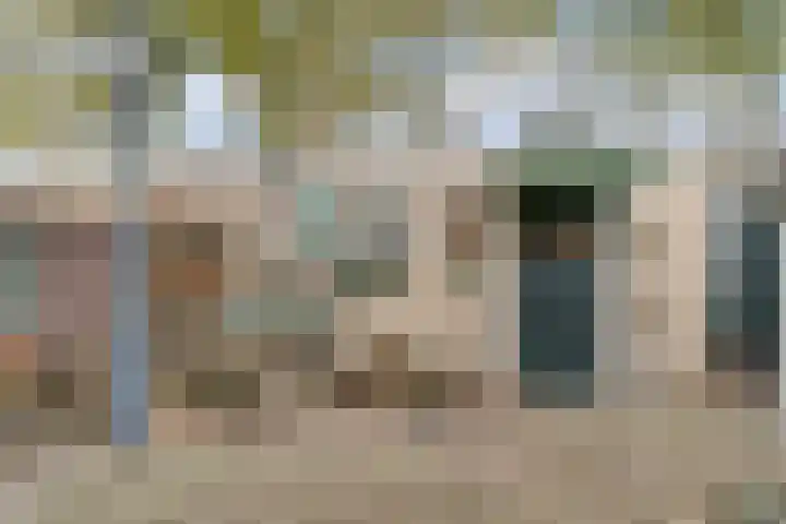 Pieter Vreedestraat 4 Oosterhout thumbnail 27