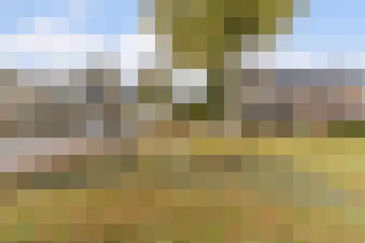 Pieter Vreedestraat 4 Oosterhout thumbnail 34