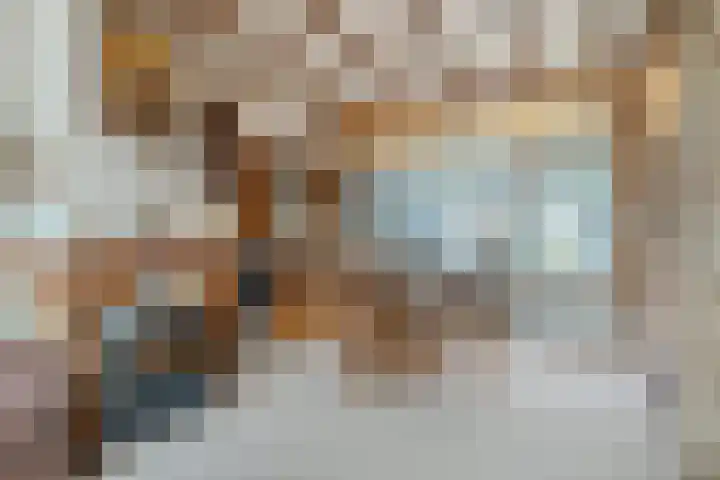 Pieter Vreedestraat 4 Oosterhout thumbnail 4