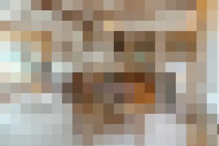 Pieter Vreedestraat 4 Oosterhout thumbnail 5