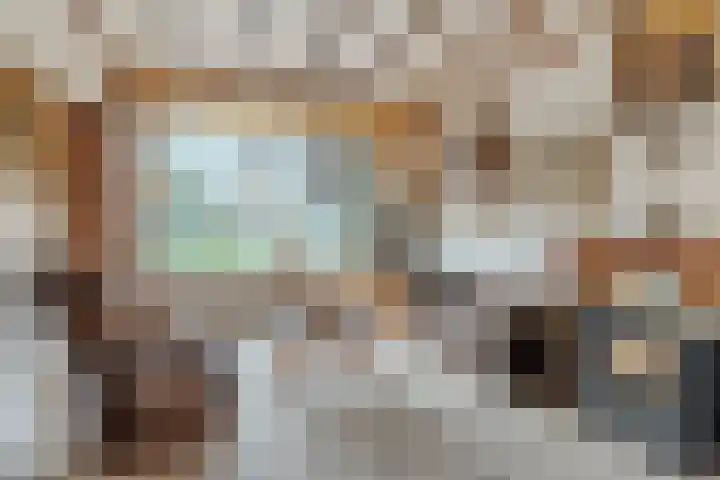 Pieter Vreedestraat 4 Oosterhout thumbnail 6