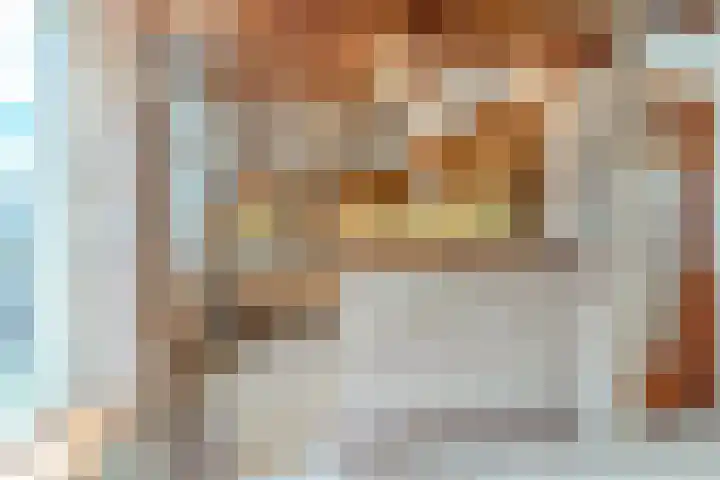 Pieter Vreedestraat 4 Oosterhout thumbnail 7