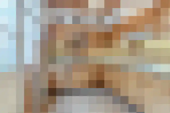 Pieter Vreedestraat 4 Oosterhout thumbnail 8