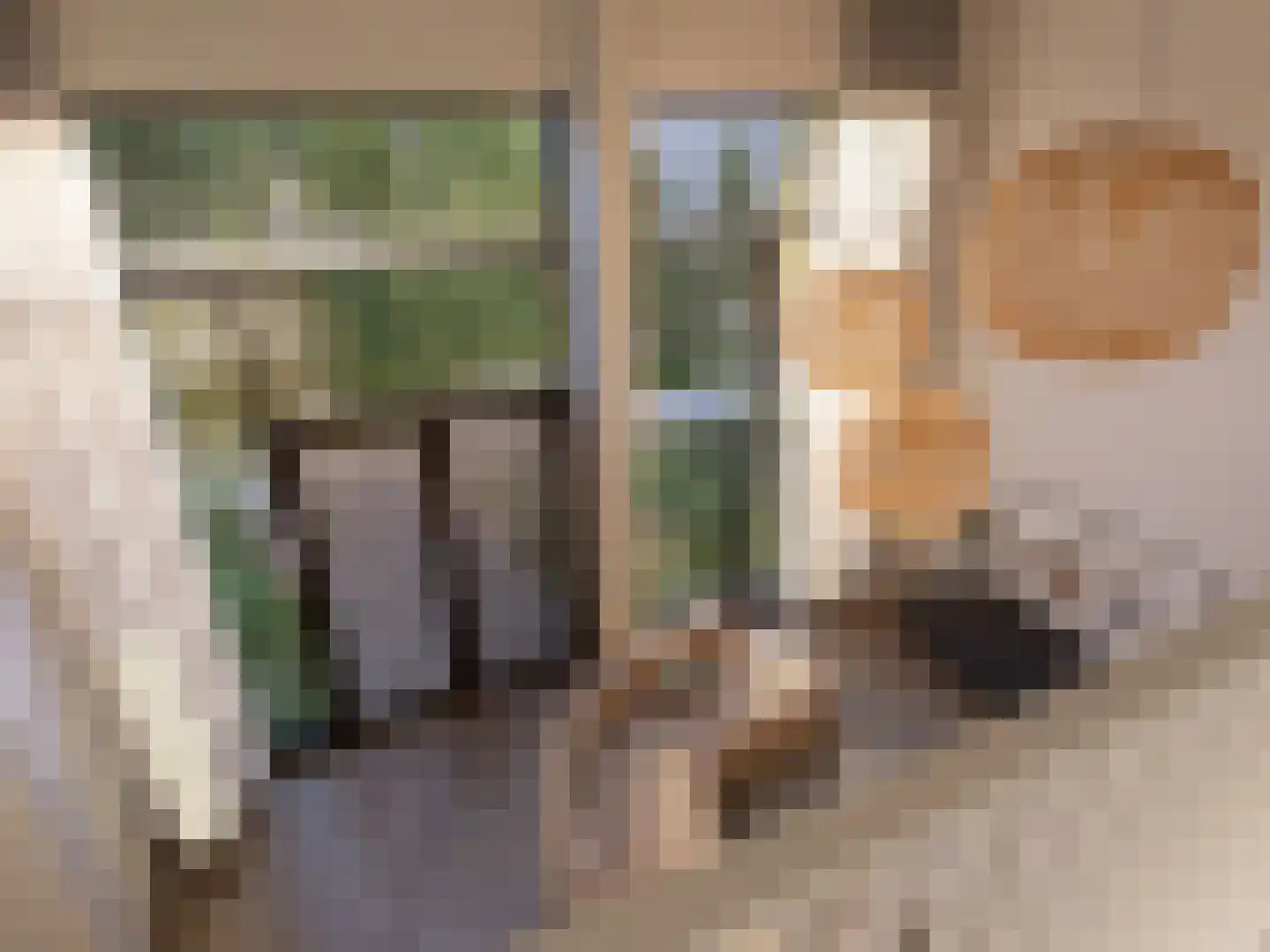 Pieter Vreedestraat 5 Tilburg thumbnail 4