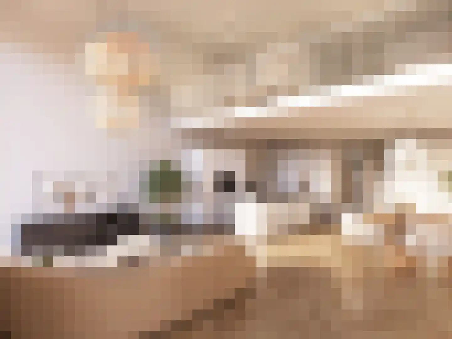 Pieter Vreedestraat 7 Tilburg thumbnail 6