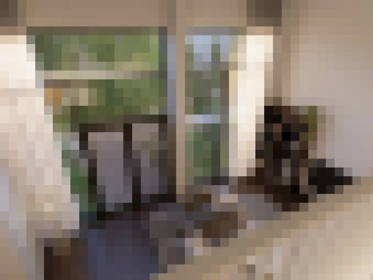 Pieter Vreedestraat 7 Tilburg thumbnail 8