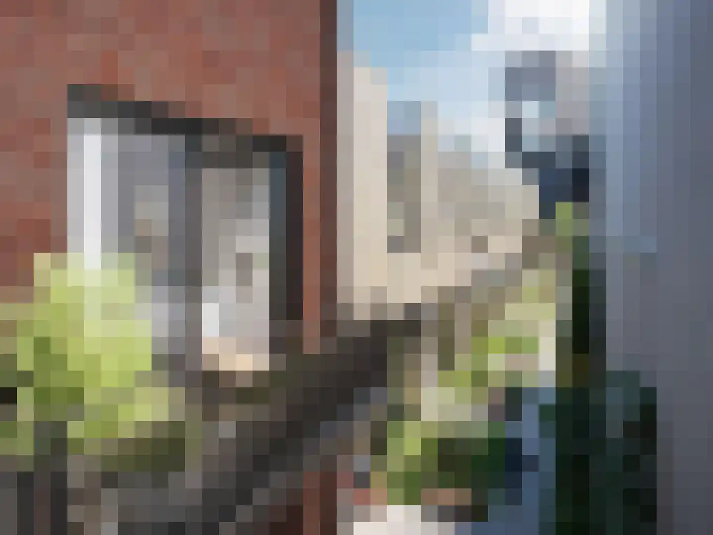 Pieter Vreedestraat 9 Tilburg thumbnail 10