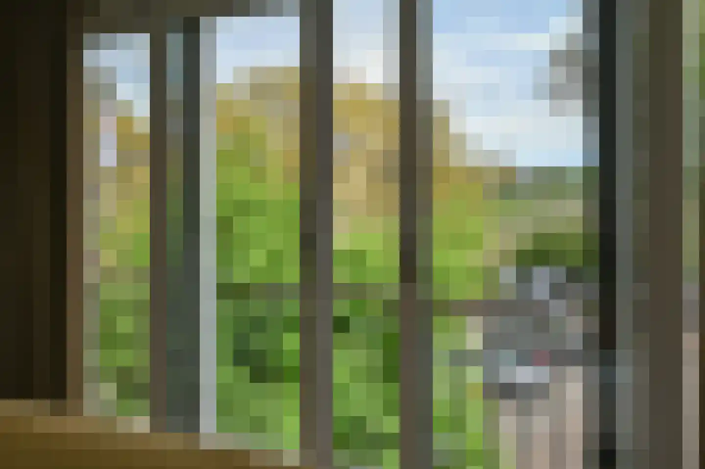 Pieter Wantelaan 32 Haarlem thumbnail 20