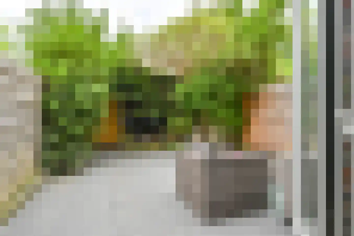 Pieter Wantelaan 32 Haarlem thumbnail 34