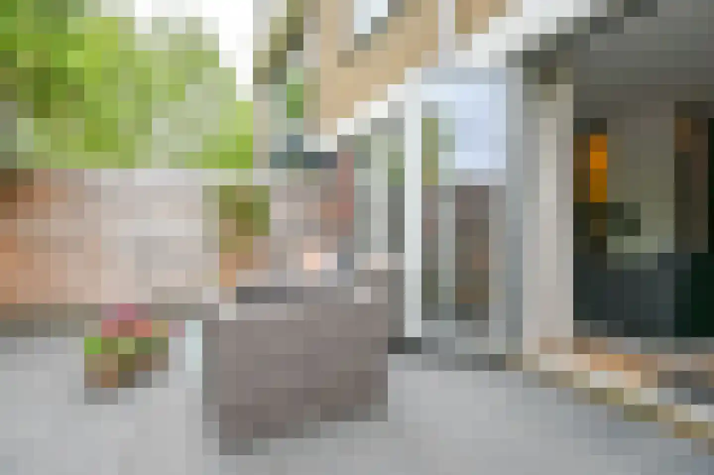Pieter Wantelaan 32 Haarlem thumbnail 35