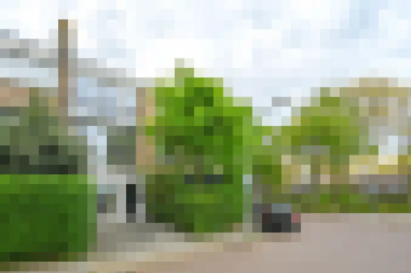 Pieter Wantelaan 32 Haarlem thumbnail 43