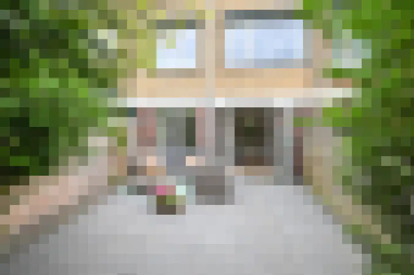 Pieter Wantelaan 32 Haarlem thumbnail 5