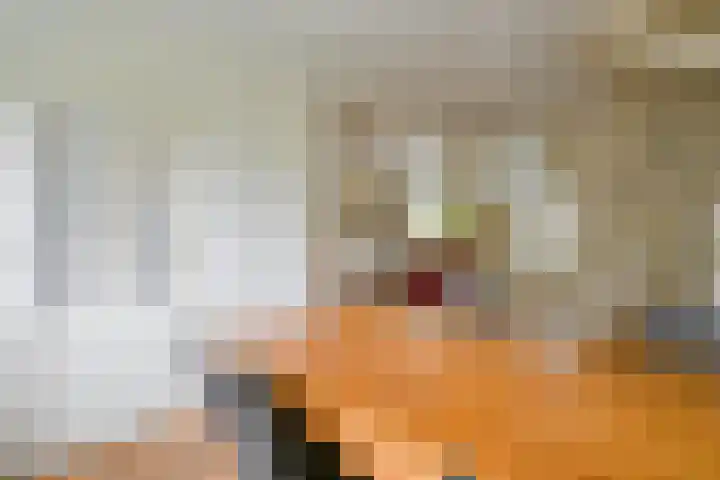 Pieter Wariuslaan 11 Midwoud thumbnail 13