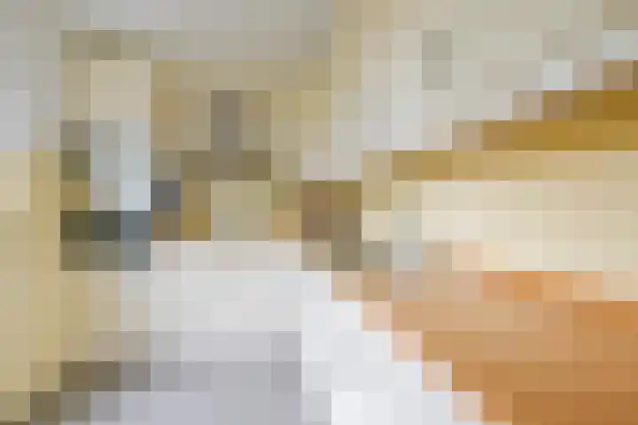 Pieter Wariuslaan 11 Midwoud thumbnail 15
