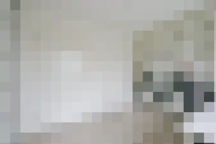 Pieter Wariuslaan 11 Midwoud thumbnail 26
