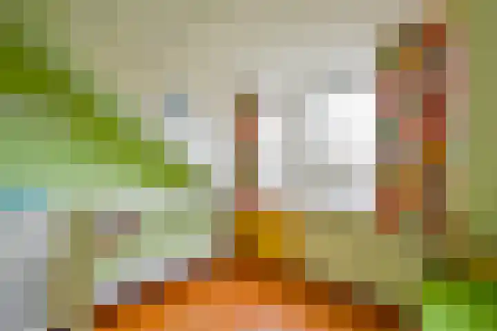 Pieter Wariuslaan 11 Midwoud thumbnail 32