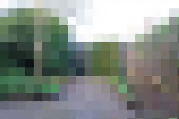 Pieter Wariuslaan 11 Midwoud thumbnail 36