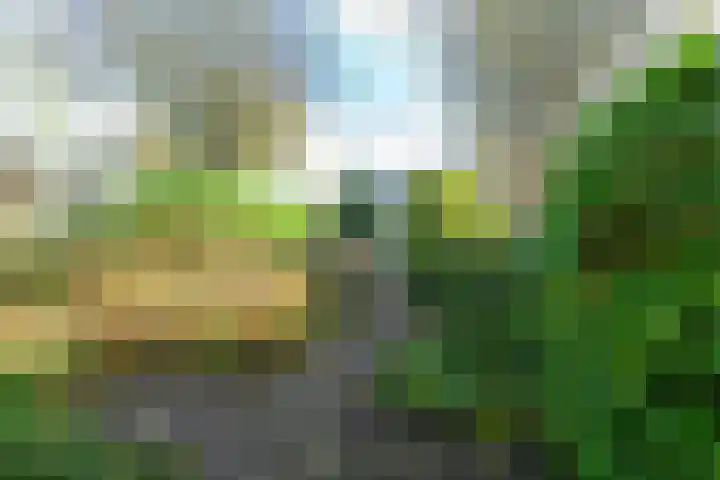 Pieter Wariuslaan 11 Midwoud thumbnail 41